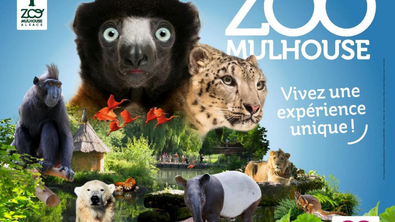 Le Panorama Du Murat Mulhouse Riedisheim 68 Haut-Rhin Alsace Saint-Louis Εξωτερικό φωτογραφία
