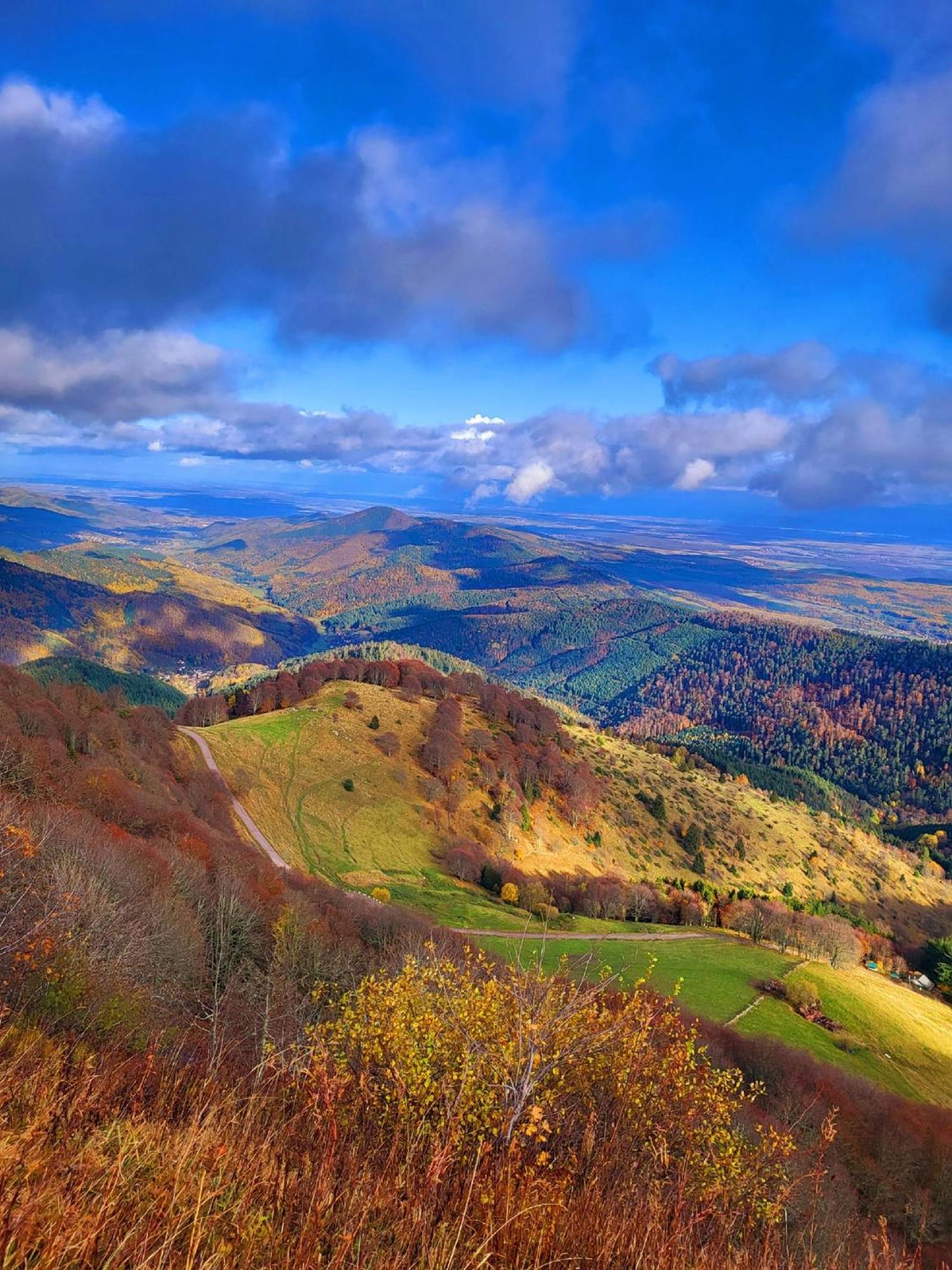 Le Panorama Du Murat Mulhouse Riedisheim 68 Haut-Rhin Alsace Saint-Louis Εξωτερικό φωτογραφία